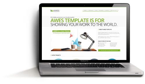 网站攻击软件工具